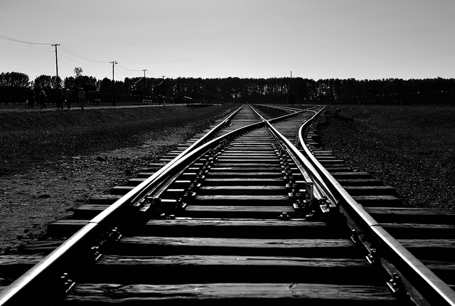 Scopri di più sull'articolo destino